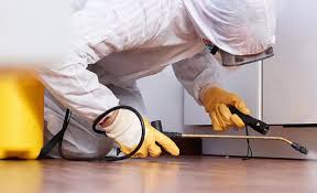 Best Pest Control for Multi-Family Homes  in Woodburn, IN